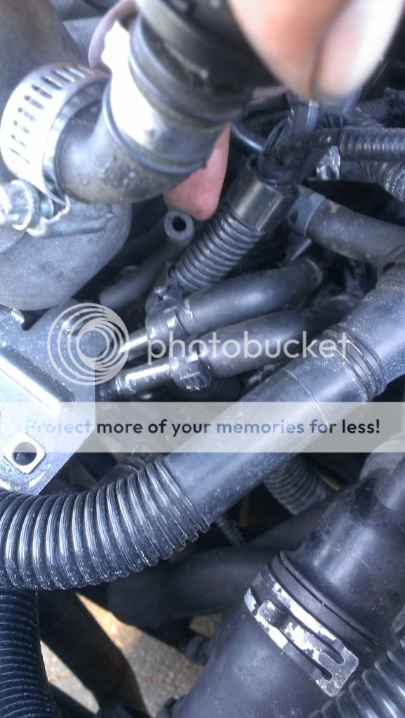 VW Jetta MKIV/MK4 2001 1.8T vacuum hose help... Volkswagen Bora