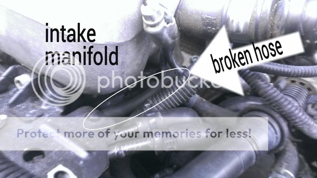 VW Jetta MKIV/MK4 2001 1.8T vacuum hose help... Volkswagen Bora