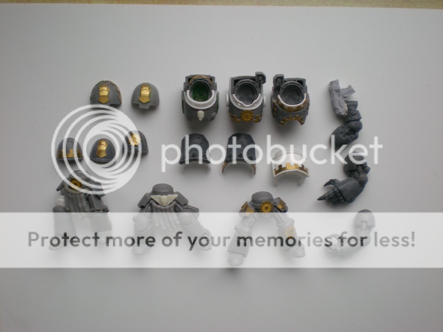 Posted Image