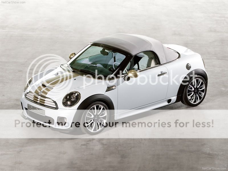 Mini-Roadster_Concept_2009_800x6-3.jpg