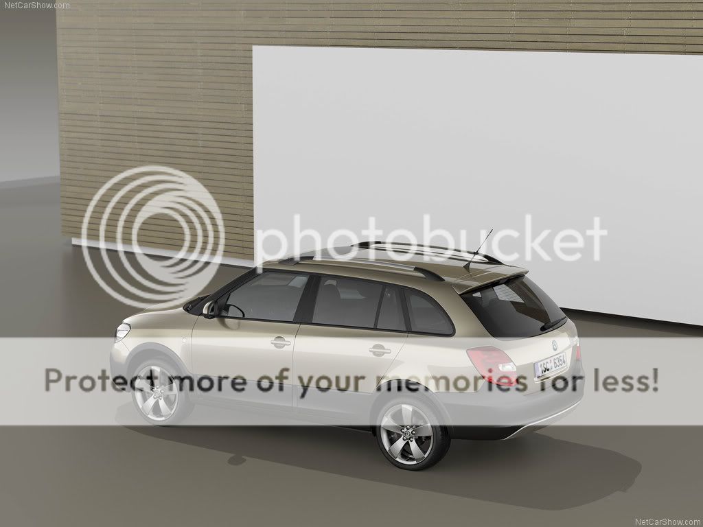 Skoda-Fabia_Combi_Scout_2011_102-2.jpg