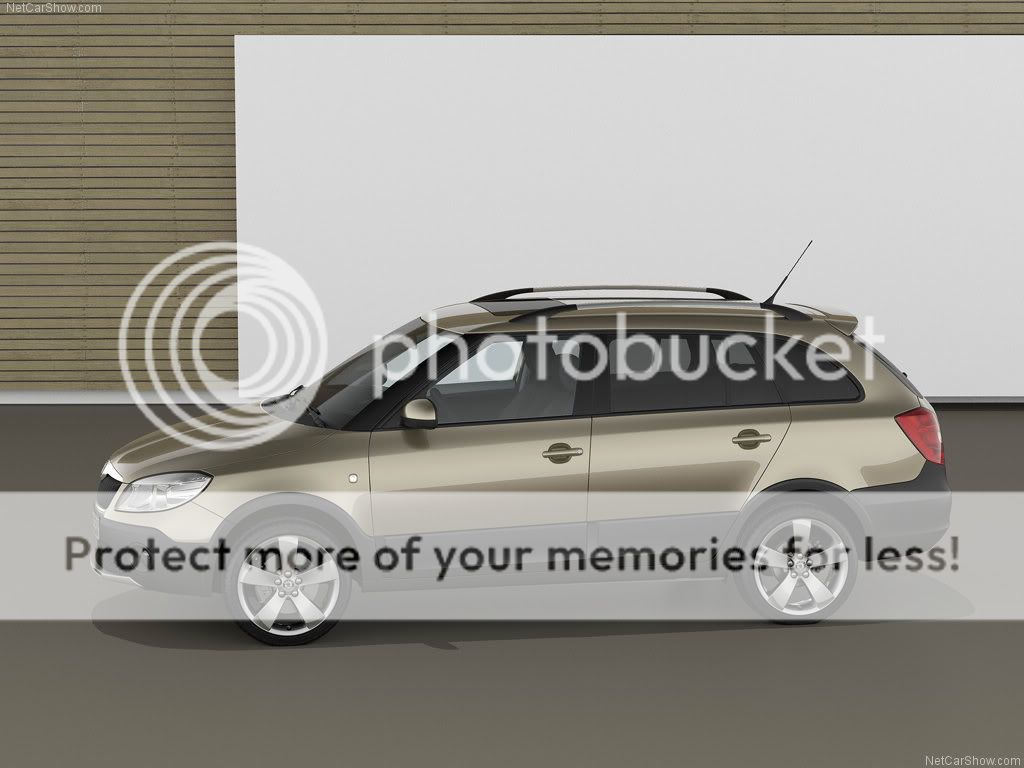 Skoda-Fabia_Combi_Scout_2011_102-3.jpg