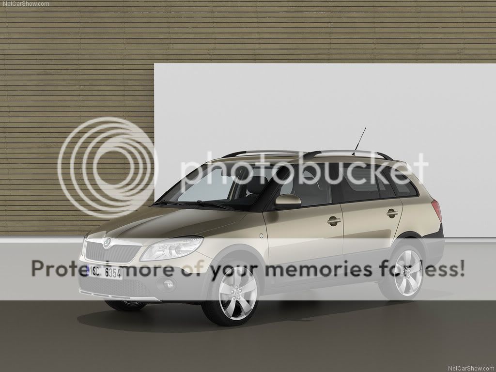 Skoda-Fabia_Combi_Scout_2011_102-4.jpg