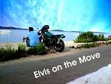 LogoImage.jpg Logo image by elvisglazier