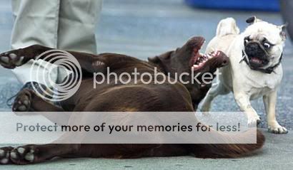 re: The Sublimely Cute!!!