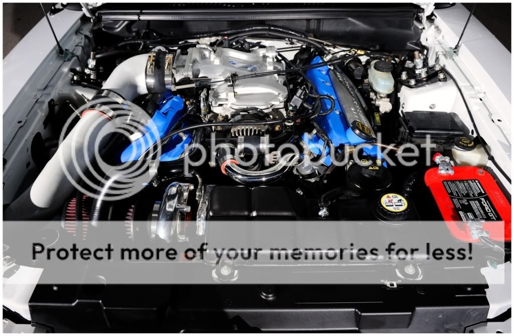 [Image: _ARW3216edit1500.jpg]