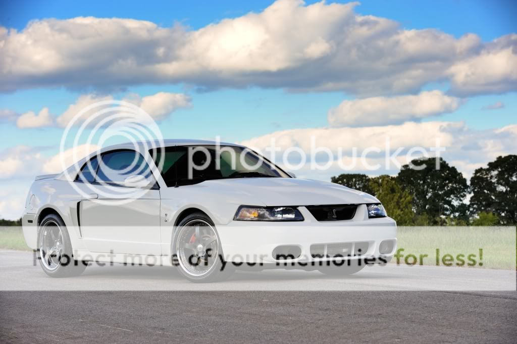 [Image: _ARW5386edit.jpg]